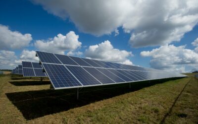 Do Solar Panels Save Money in the UK? Complete 2024 Guide