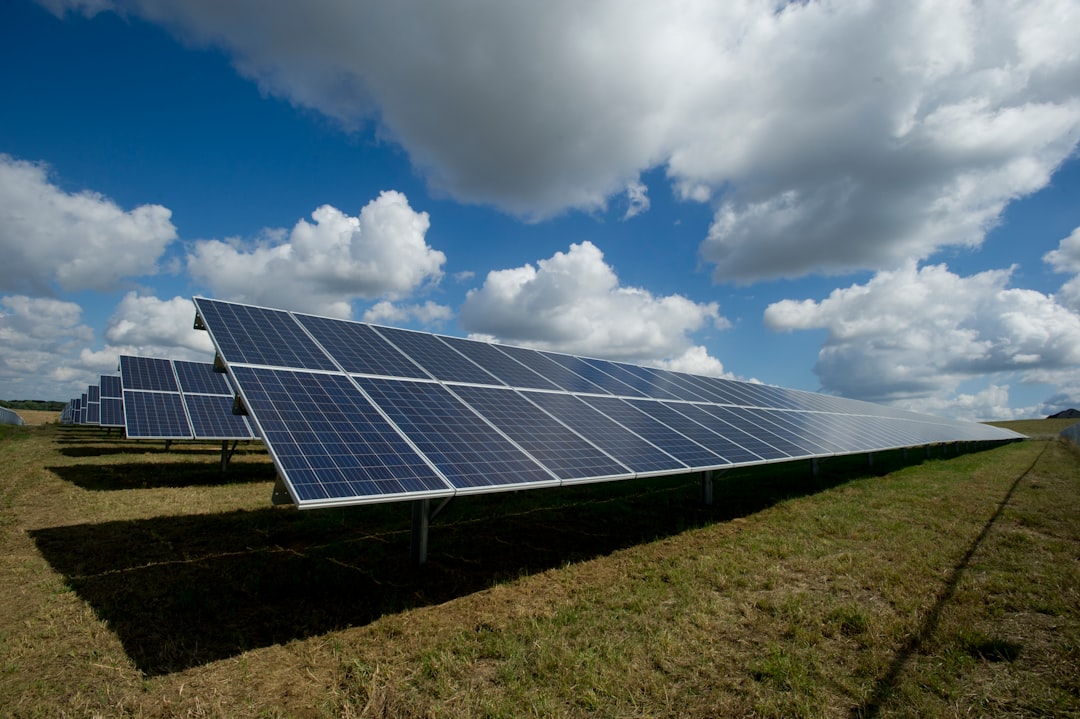 Do Solar Panels Save Money in the UK? Complete 2024 Guide
